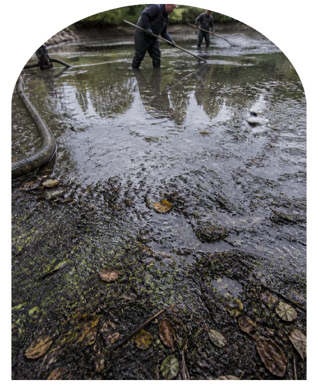 Очистка пруда в Назрани от ила мусора и водорослей с вывозом